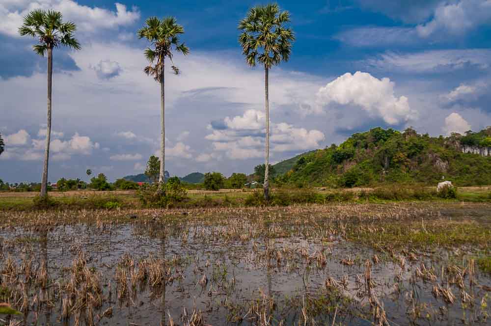 Straits Times. The Taste of Kampot Life.