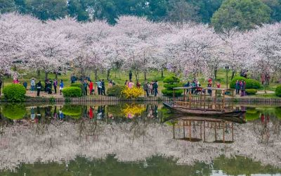 Inner Circle. Wuhan: Front and Centre.