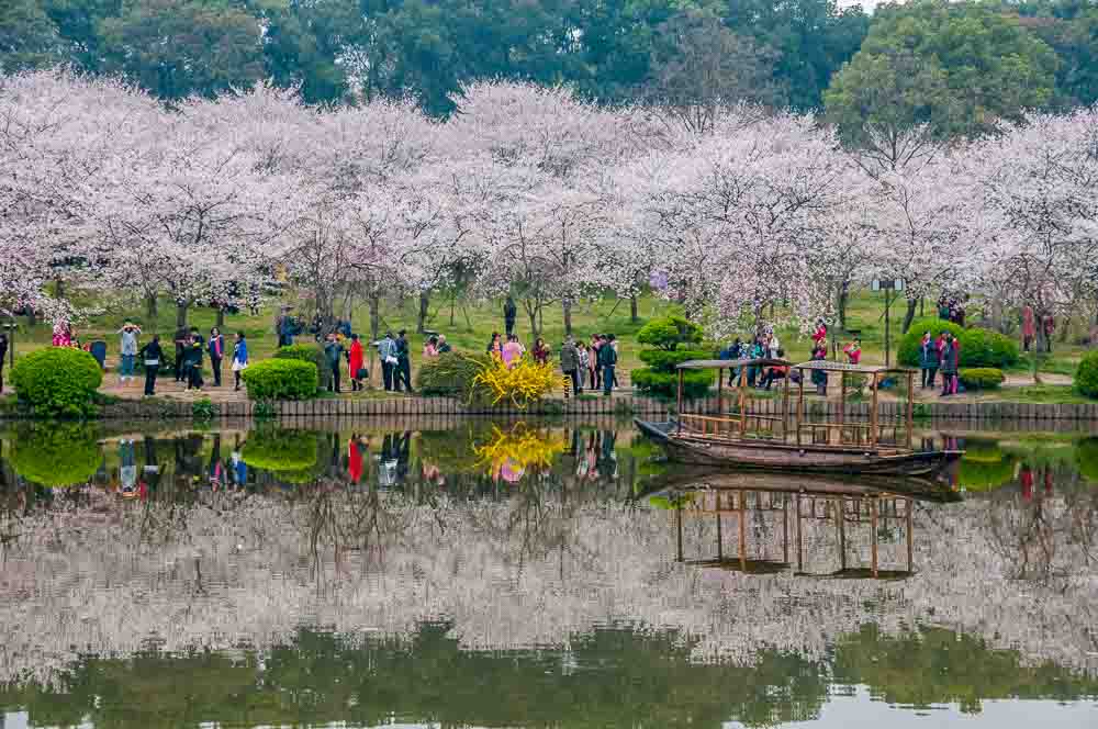 Inner Circle. Wuhan: Front and Centre.