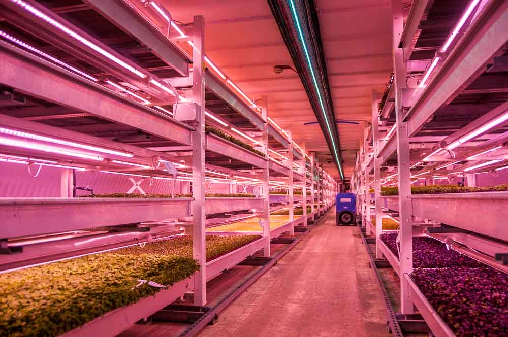 Time Out. These incredible urban farms are showing us how to make food better.